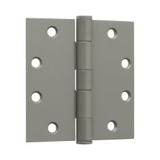 Hinges with Prime Coat (3) - 4.5-in x 4.5-in