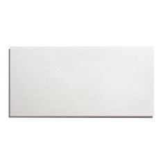 Ceiling Tile – Tabaret – 2’ x 4’ – 12/pkg