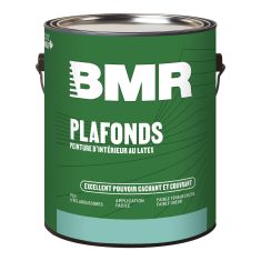 Interior Latex Ceiling Paint - 3.78 L