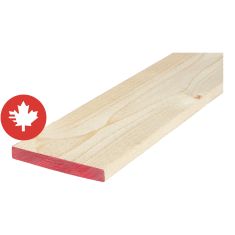 1" x 6" x 12' Spruce Kiln Dry