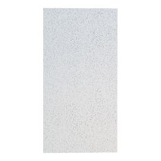 Ceiling Panel - Model 220  - 2' x 4' - 8/Pkg - Covers 64 sq. ft.