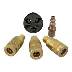 Coupler with plugs and manifold