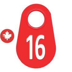 Étiquette d'identification pour le cou #16