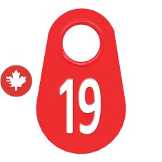 Étiquette d'identification pour le cou #19