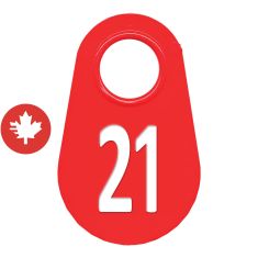 Étiquette d'identification pour le cou #21