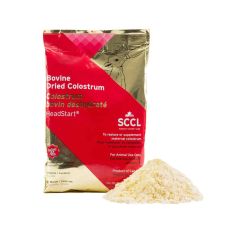 Colostrum HeadStart haut calorie