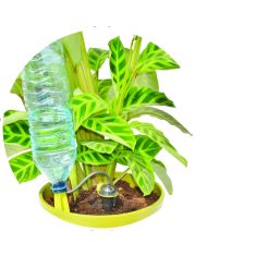 Kit d'arrosage Iriso 1 pied / 1 goutteur