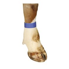 Bracelet autoagrippant pour bovin, bleu, 10/pqt