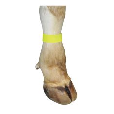 Bracelet autoagrippant pour bovin, jaune, 10/pqt