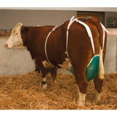 Filet de protection pour trayons