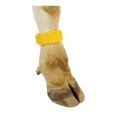 Bracelets de marquage en plastique pour vache, jaune