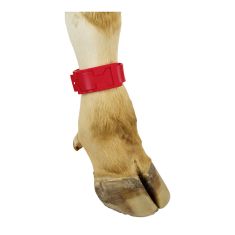 Bracelets de marquage en plastique pour vache, rouge
