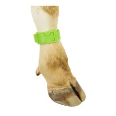 Bracelets de marquage en plastique pour vache, vert