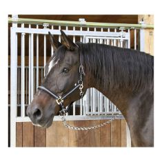 Licou Noir Et Argent - cob